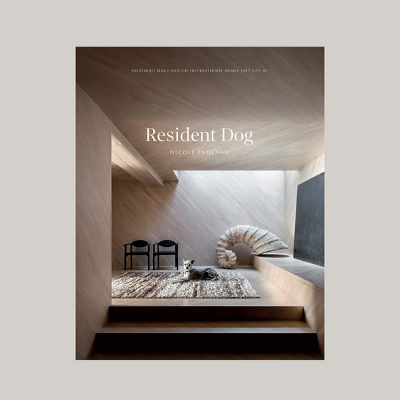 ספר עיצוב Resident dog